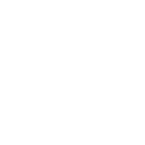 Logo Anomax